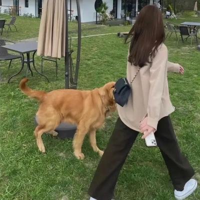 诱惑老板100招